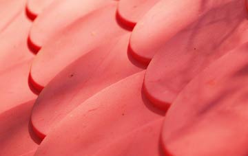 Charcott plastic roof costs